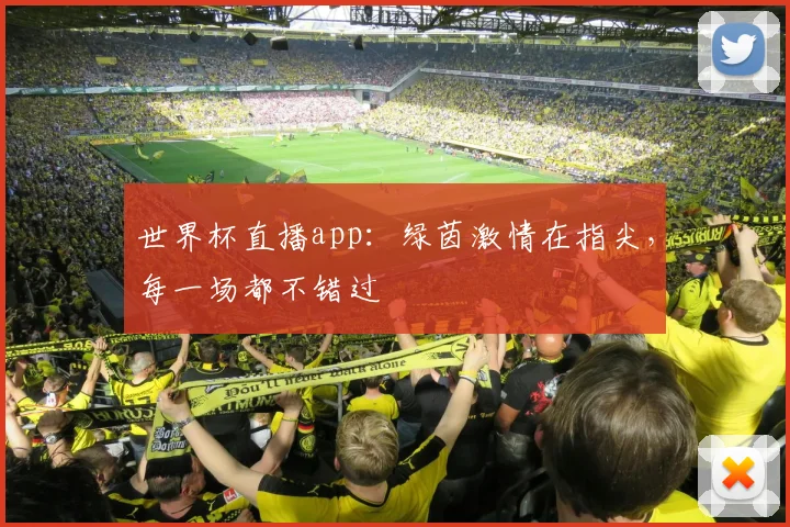 世界杯直播app：绿茵激情在指尖，每一场都不错过