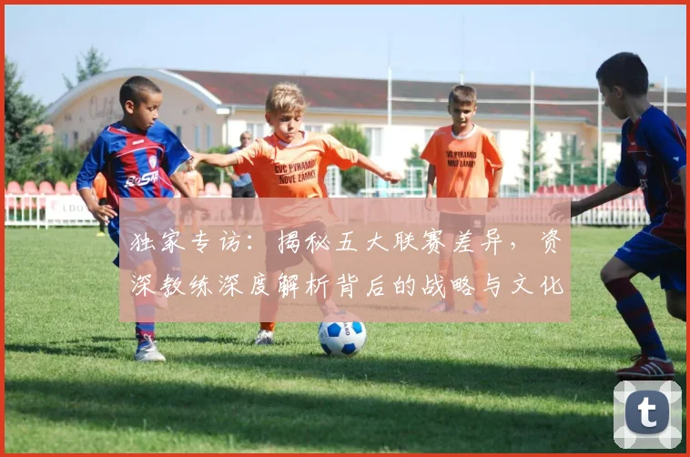 独家专访：揭秘五大联赛差异，资深教练深度解析背后的战略与文化