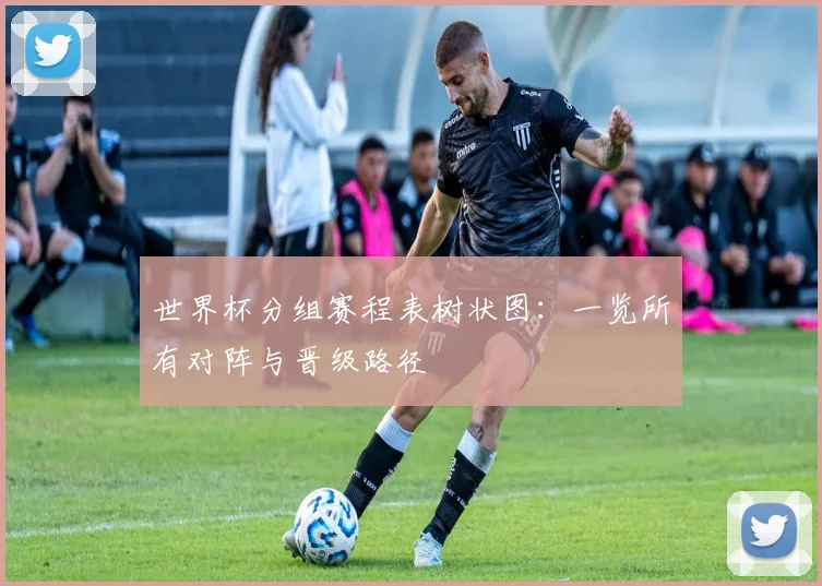 世界杯分组赛程表树状图：一览所有对阵与晋级路径