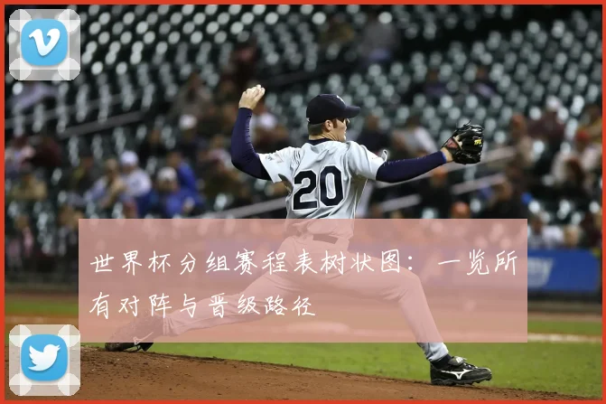 世界杯分组赛程表树状图：一览所有对阵与晋级路径