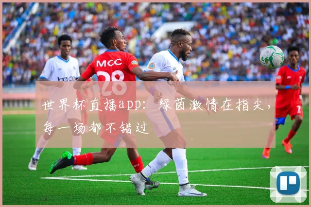 世界杯直播app:绿茵激情在指尖,每一场都不错过
